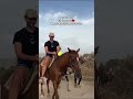 horseback riding expérience in agadir Taghazout bay Morocco WhatsApp212660739222 تاغازوت #horse