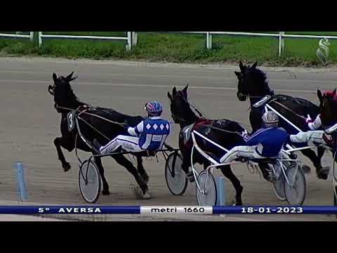 Aversa trotto 18 Gennaio 2023 - 5° Corsa