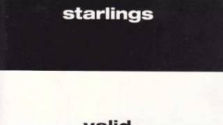 Starlings -- Shoot Up Hill
