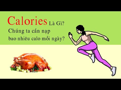 , title : 'Calories là gì? | Chúng ta thực sự cần bao nhiêu Calo mỗi ngày? | Hiểu rõ trong 5 phút'