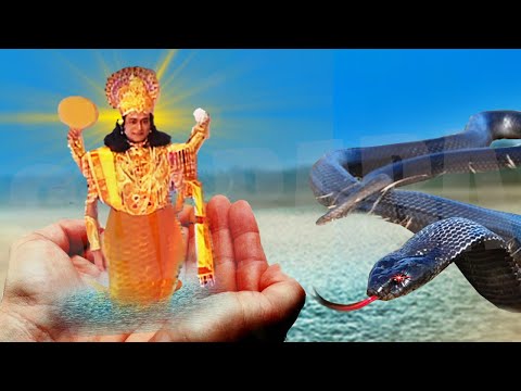 क्या हुआ जब विष्णु के मत्स्य अवतार को उठा ले जा रहा था एक साधु - Bhakt Dhruv Katha @saibaba3350