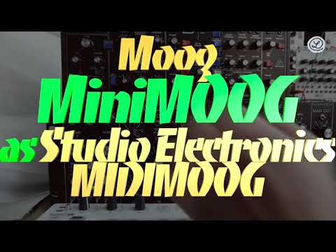 BEHRINGER MODEL D vs. MOOG MINIMOOG as SE MIDIMOOG