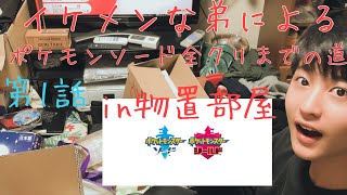 【ポケモンソードシールド】を買って貰った弟による全クリまでの道
