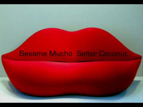 BESAME MUCHO ~ Señor Coconut  [Latin Lounge]