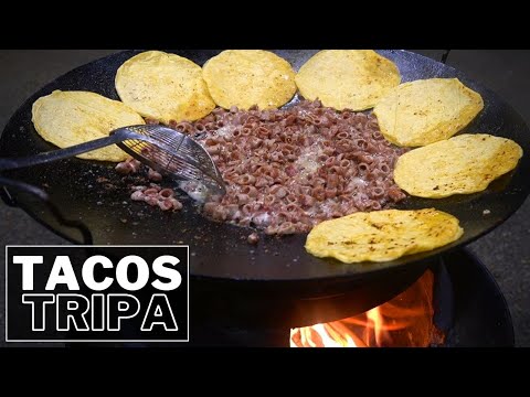 Tacos de Tripa al disco | La Capital