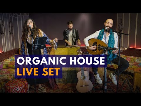 Alzalia - Live Set (Organic House / Noa Stuttgart)