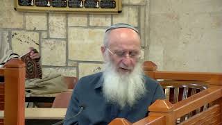 העברת המלכות על ידי הנצר הנקבי – שיעור 21 – ספר יהושע