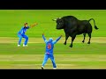 10 Animals In Cricket Ground Moments