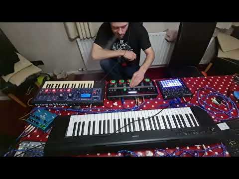 live looping session