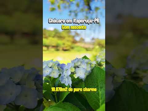 BELÍSSIMA CHÁCARA ENCANTADORA EM ITAPERUÇU PR / PRÓXIMO DO CENTRO