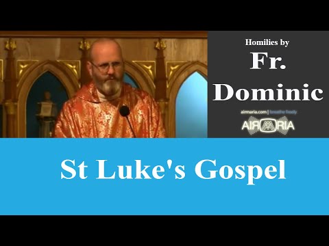 St Luke's Gospel - Oct 18 - Homily - Fr Dominic