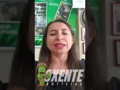 10 de março de 2026