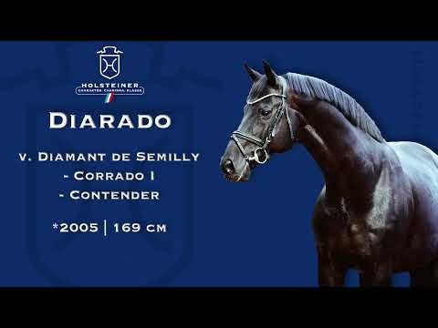 Holsteiner Verbandshengste 2023 | Diarado
