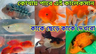 মাছ ই মাছ শ্রীরামপুর হাটে | Serampore Fish Pet Market | Serampore Pet Market | Fish Shop Shrirampur