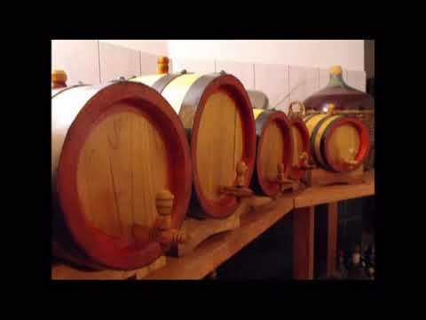 Romeo Ifrim - La marginea satului