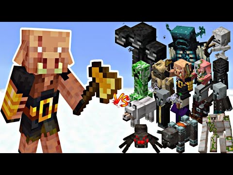 Minecraft:Ultimate showdown-Piglin brute vs all mobs fight!