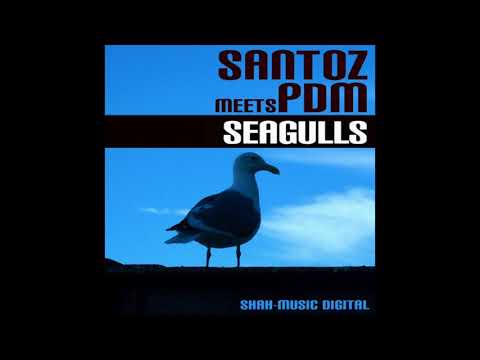 Santoz meets PDM - Seagulls (Santoz Original Mix) (2006)
