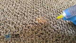 How To Get Bleach Stains From Carpet & Get Your Carpet Color Restored