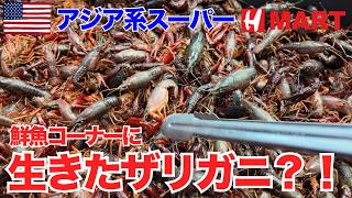 アメリカのスーパー”生きたザリガニ”売っていた【鮮魚・物価・購入品】