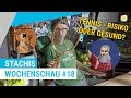 Leben und Sterben dank Tennis | Stachis Wochenschau #18 | myTennis Leben und Sterben dank Tennis | Stachis Wochenschau #18 | myTennis