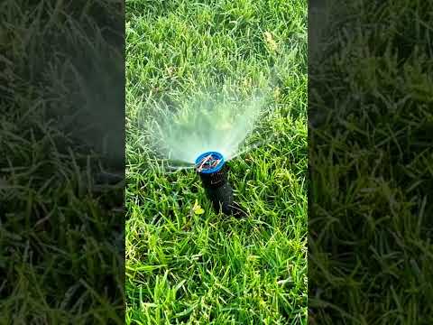 Soothing Sprinkler Sound