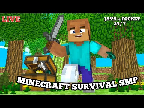 24/7 Minecraft Survival with Subscribers! Join now!