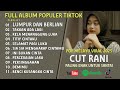 Takkan Ada Lagi Lumpur Dan Berlian Cut Rani Full Album Untuk Santai Terbaru 2025