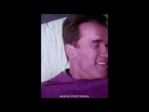 Memes Compilation [193]