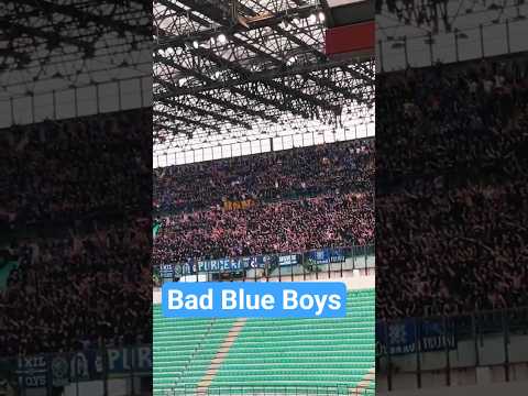 BAD BLUE BOYS Dinamo Zagreb a San Siro #dinamozagreb #hooligans #ultras #shorts