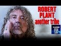 Another Tribe / Robert Plant