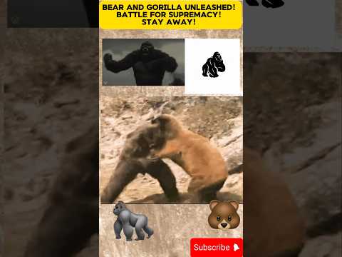 Water Usa - Bear Vs Gorilla - Misc Originals