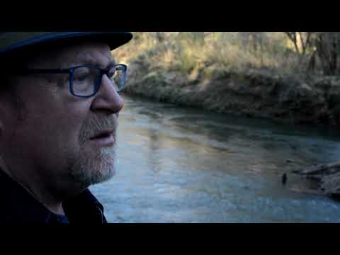 Dreaming of King Lear - Tim Grimm