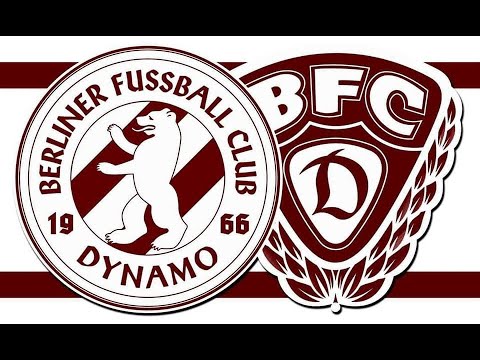 4xD - Schnauze - BFC Dynamo