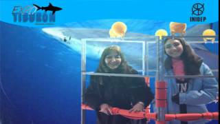 DIA 2 Expo Tiburon191