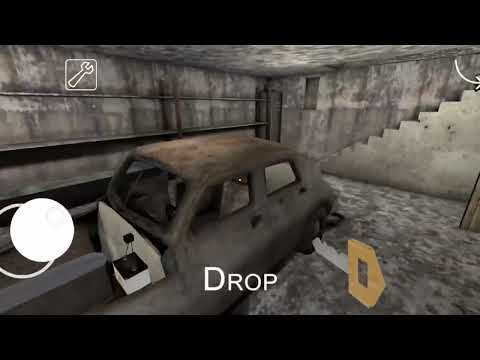 The Great Granny Escape: How One Heroic Grandma Fled Captivity