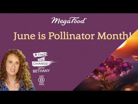 How MegaFood and Regenerative Agriculture impact Pollinators