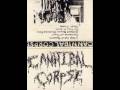 Cannibal Corpse- Put Them To Death 
