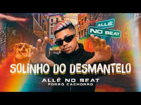 SOLINHO DO DESMANTELO - Allê No Beat - Forró Cachorro