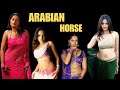 Anuskha Shetty Hot Arabian Horse Sweety Shetty Round Wise Compilation Heroine Menia