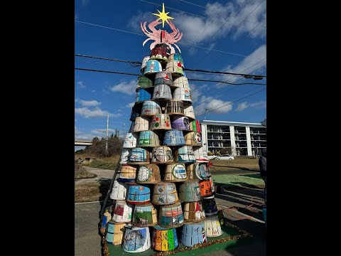 Surprise Live! 6th Annual Watermen’s Crab Basket Tree Lighting