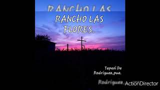 12 De Diciembre 2019, Rancho Las Flores Tepexi De Rodríguez Puebla.