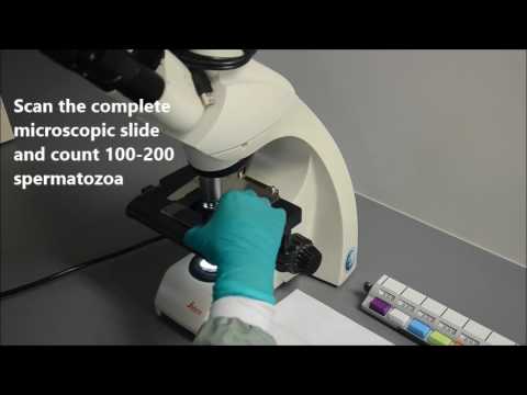 Vital Screen Andrology