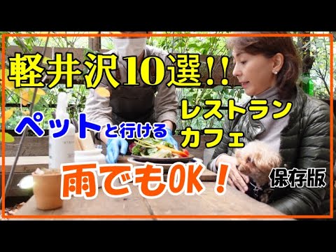 YouTube動画を再生