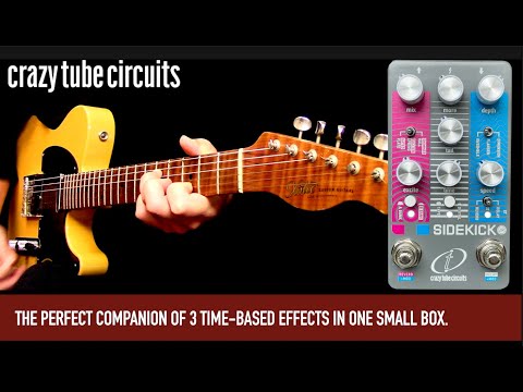Crazy Tube Circuits Sidekick JR - Reverb Delay and Modulation image 6