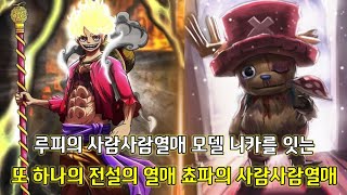 [원피스 분석]루피의 사람사람열매 모델 니카를 잇는 또 하나의 전설의 열매 쵸파의 사람사람열매