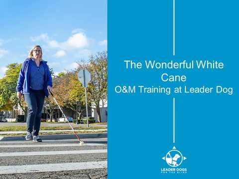 Webinar: The Wonderful White Cane - Leader Dogs for the Blind