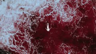 Innellea - Confronted Reality video