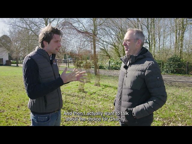 Sire Tiger van 't Rutyershof