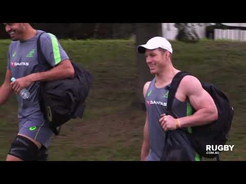 RWC Daily Wrap - 19th September