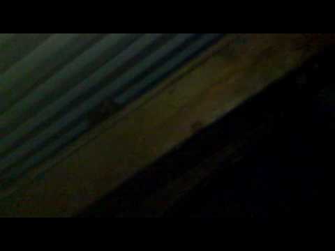 Katt fast under plåttak